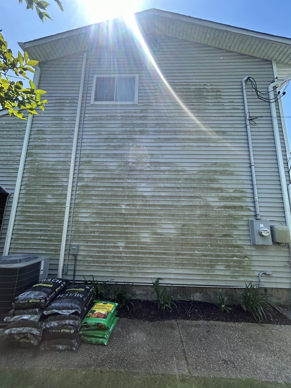 Vinyl siding heavily streaked with algae before house wash