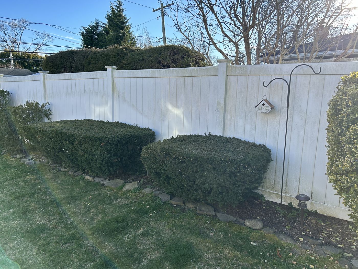 White vinyl privacy fence with algae and gray weathering before soft washing