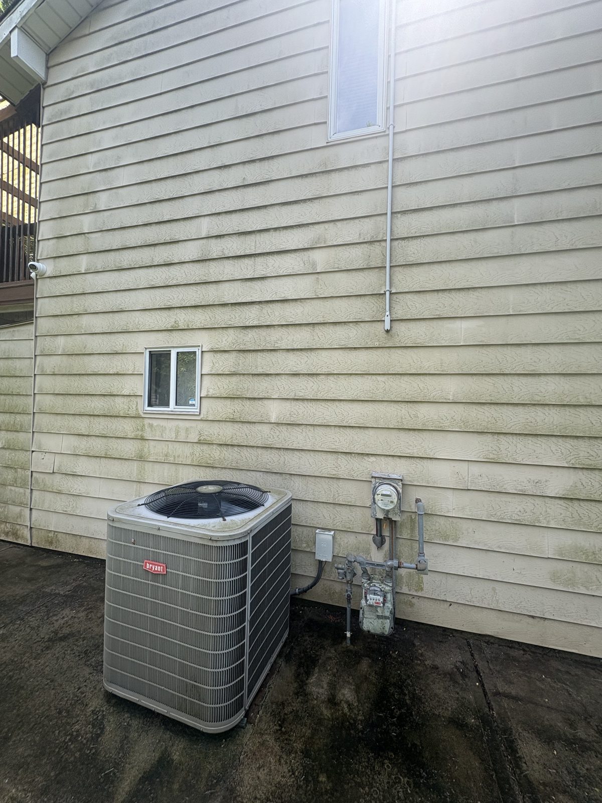 Vinyl siding with light algae before wash